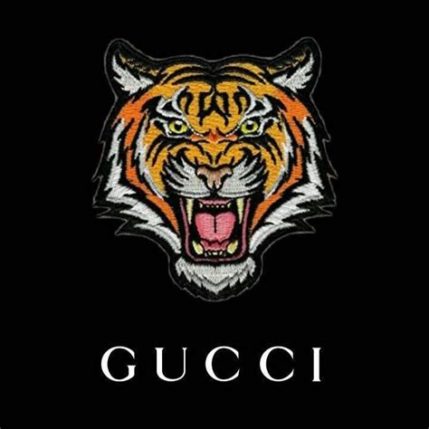 gucci cairo